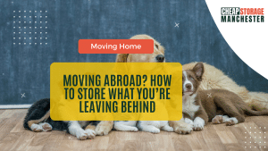Moving House with Pets How to Keep Them Calm